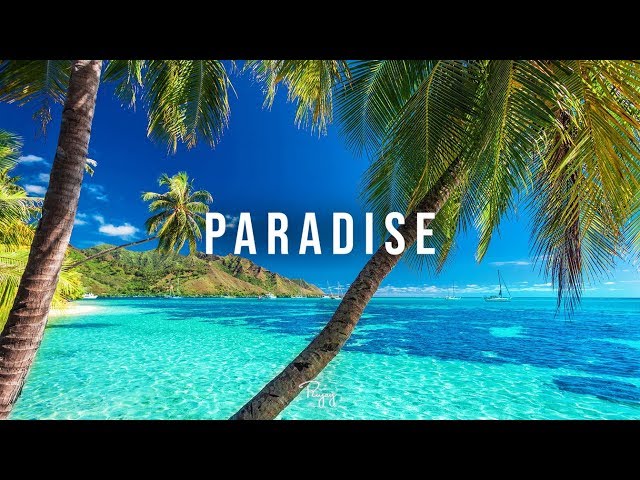 Paradise  - Broadcasting the Beat