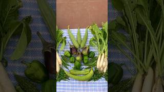 Harvesting Organic Vegetables #Organic Garden #youtubeshorts #viral