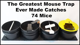 The Greatest Mouse Trap Ever Made Catches 74 Mice  The 4 in 1 Mouse Trap. Mousetrap Monday.
