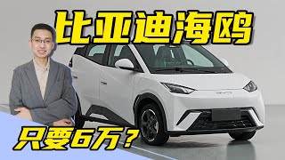 解读比亚迪海鸥，6万多的比亚迪电动车究竟值不值？