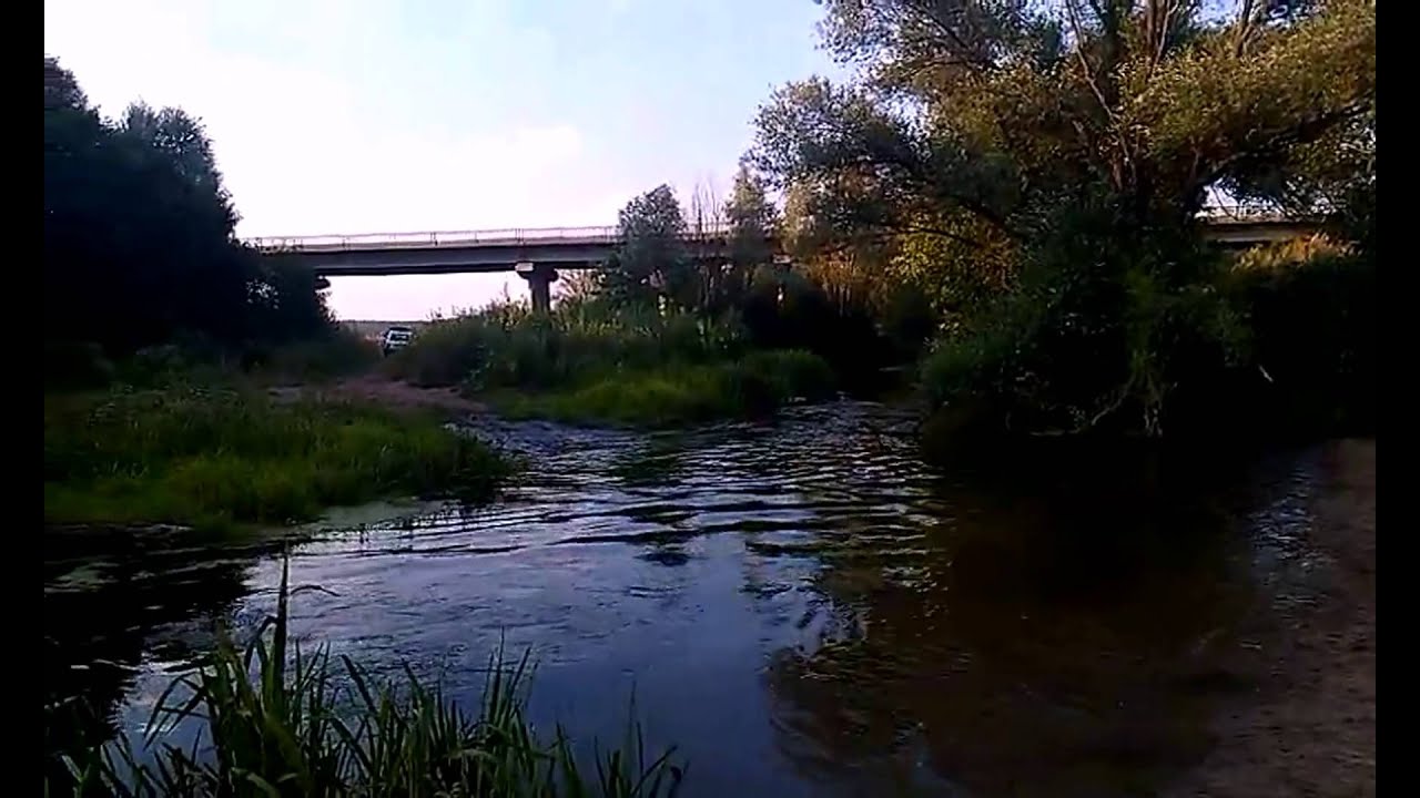 Река ведуга воронежской области семилукского района Река ведуга воронежской области семилукского района