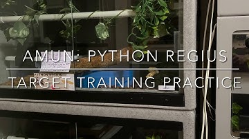 Royal Python: Short Training Session
