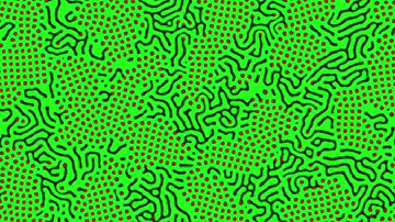 reaction diffusion experiment pr test 05 prs 099 - red dots black lines