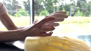 Stratasys J850 Digital Anatomy 3D Printer