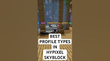 Top 3 BEST Profile Types in Hypixel Skyblock