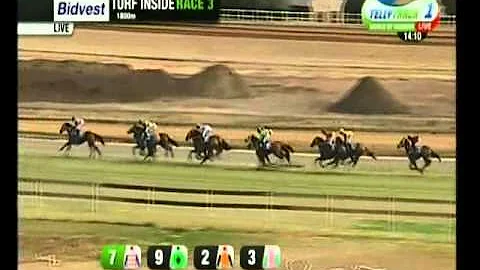 Top Shot (Andrew Fortune) vs Dublin Rebel (Piere S...
