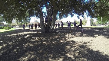 Environmental Wellness - HMC Wellness