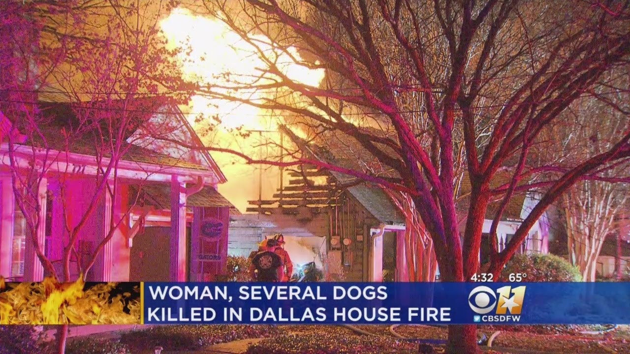 Woman, Several Dogs Killed In Dallas House Fire