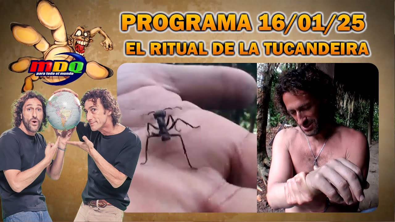 MDQ PARA TODO EL MUNDO - PROGRAMA 16/01/2025 - EL RITUAL DE LA HORMIGA BALA
