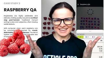 AI-powered Raspberry Quality Assurance & Post-Harvest Handling | One Idea a Day - AI in Agriculture
