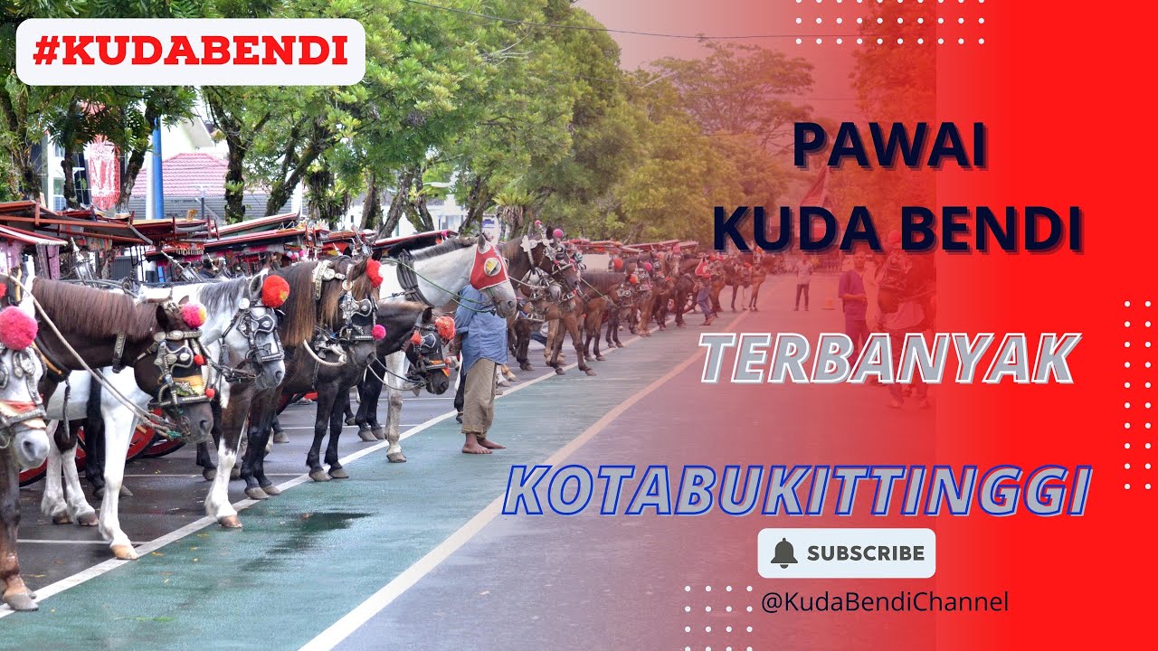 PAWAI KUDA BENDI  ‼️ TERBANYAK DI KOTA BUKITTINGGI II LEBIH 50 EKOR KUDA #viral #andong