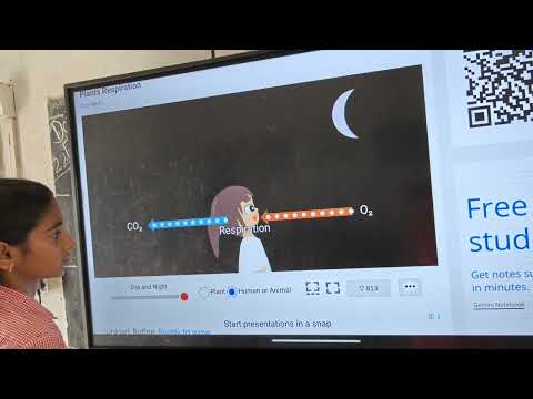 #simulator #olab #javalab #science #photosynthesis #respiration #interactive  