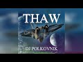Dj Polkovnik - Release "Thaw" (оттепель). Безумно мощная и красивая музыка для души. Новинки 2021.