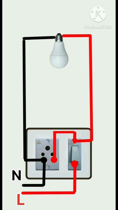 one switch one socket wiring #shorts #shortvideo #shortsfeed #