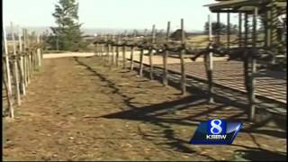 Soledad, Greenfield, King City, Gonzalez want their own food and wine festival