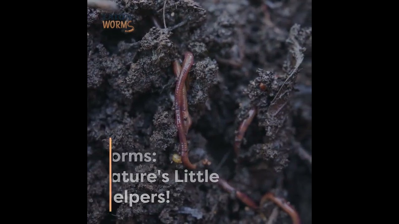 Gardening: A Comedy of Errors