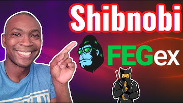 How to Buy Shibnobi on FEGex with Metamask Step By Step | Buy Shinja on FEGex