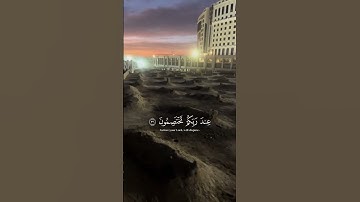 ياسر الدوسري سورة الزمر |  #ياسر_الدوسري #اجر_لي_ولكم #قران_كريم #islamic_video #quran