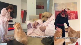 Nan Comes To Look After Goldens When Mum Breaks Her Ankle