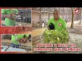 Construye un comedero para gallinas, con material reciclado | Fácil y económico | Granja San Lucas