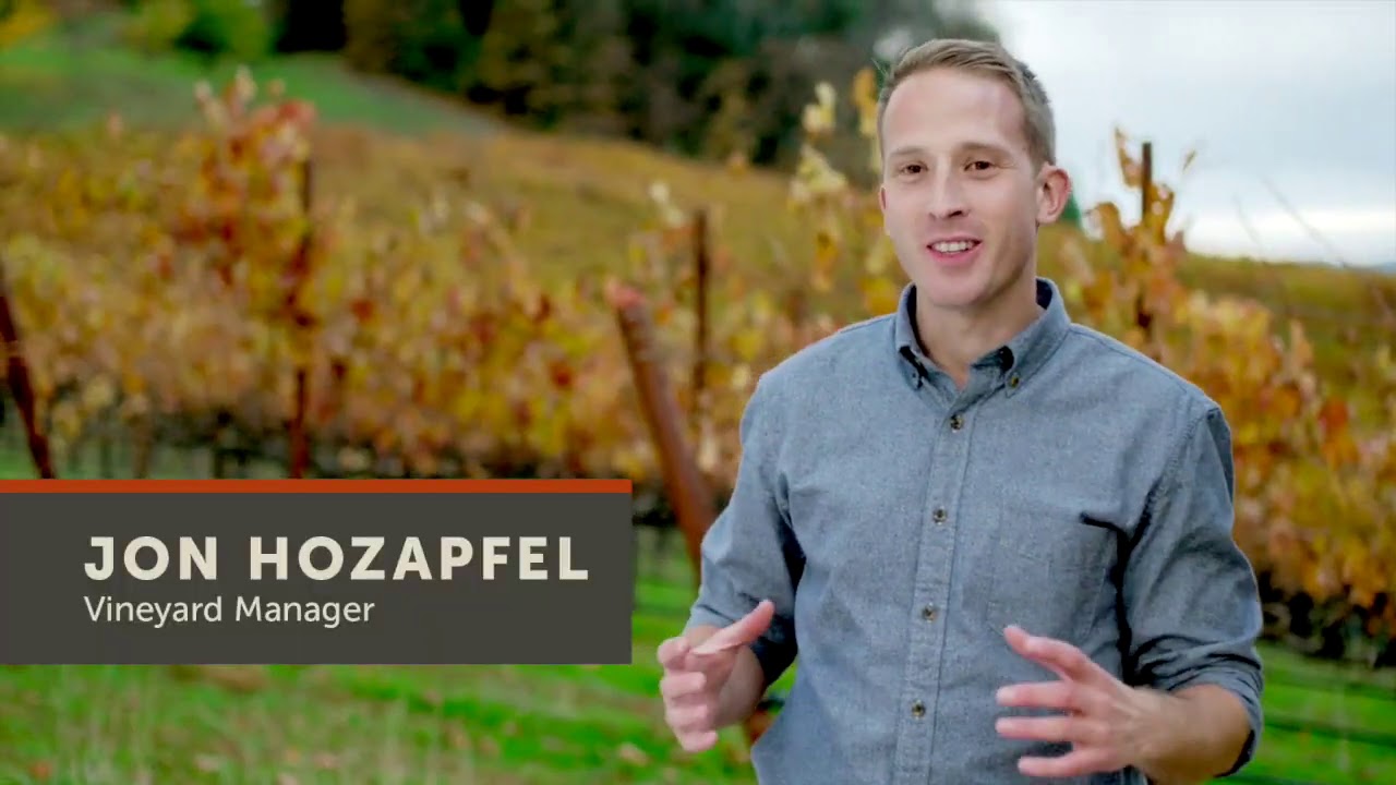 Bonterra Organic Vineyards - 2020 California Green Medal Environment Award Recipient