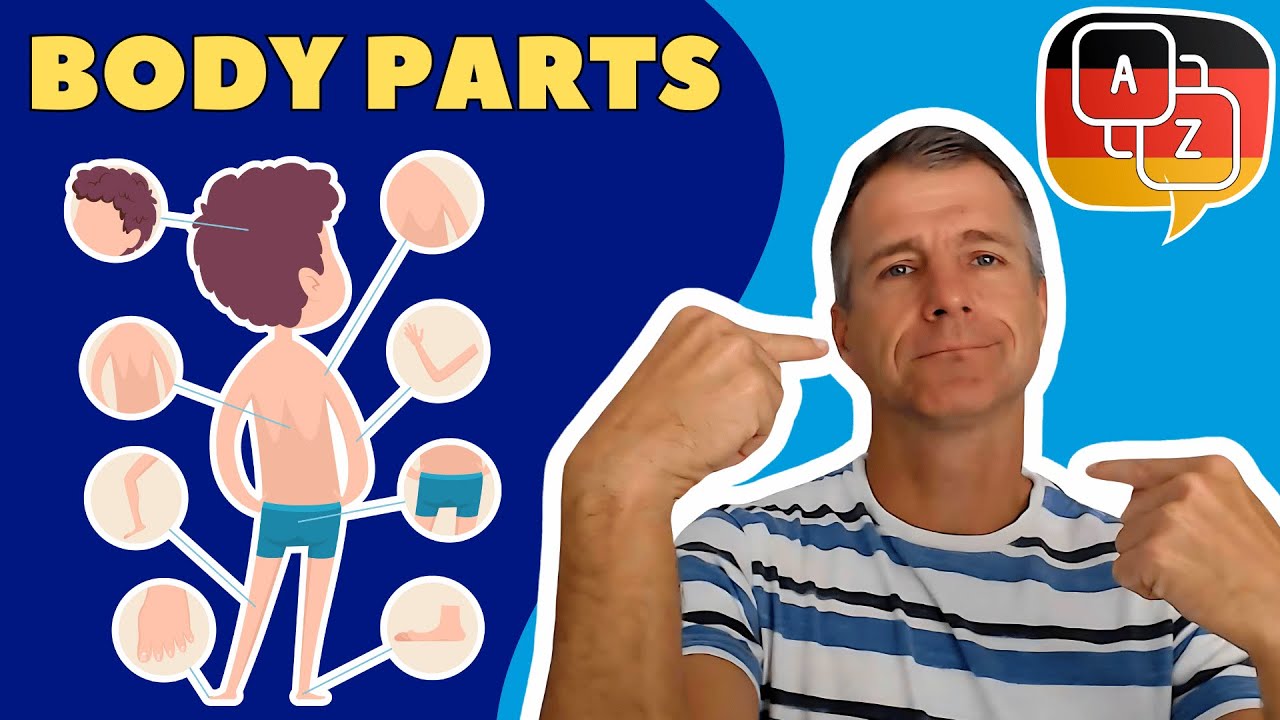 🇩🇪 Body Parts in German Learn German Vocabulary Marcus´ Language