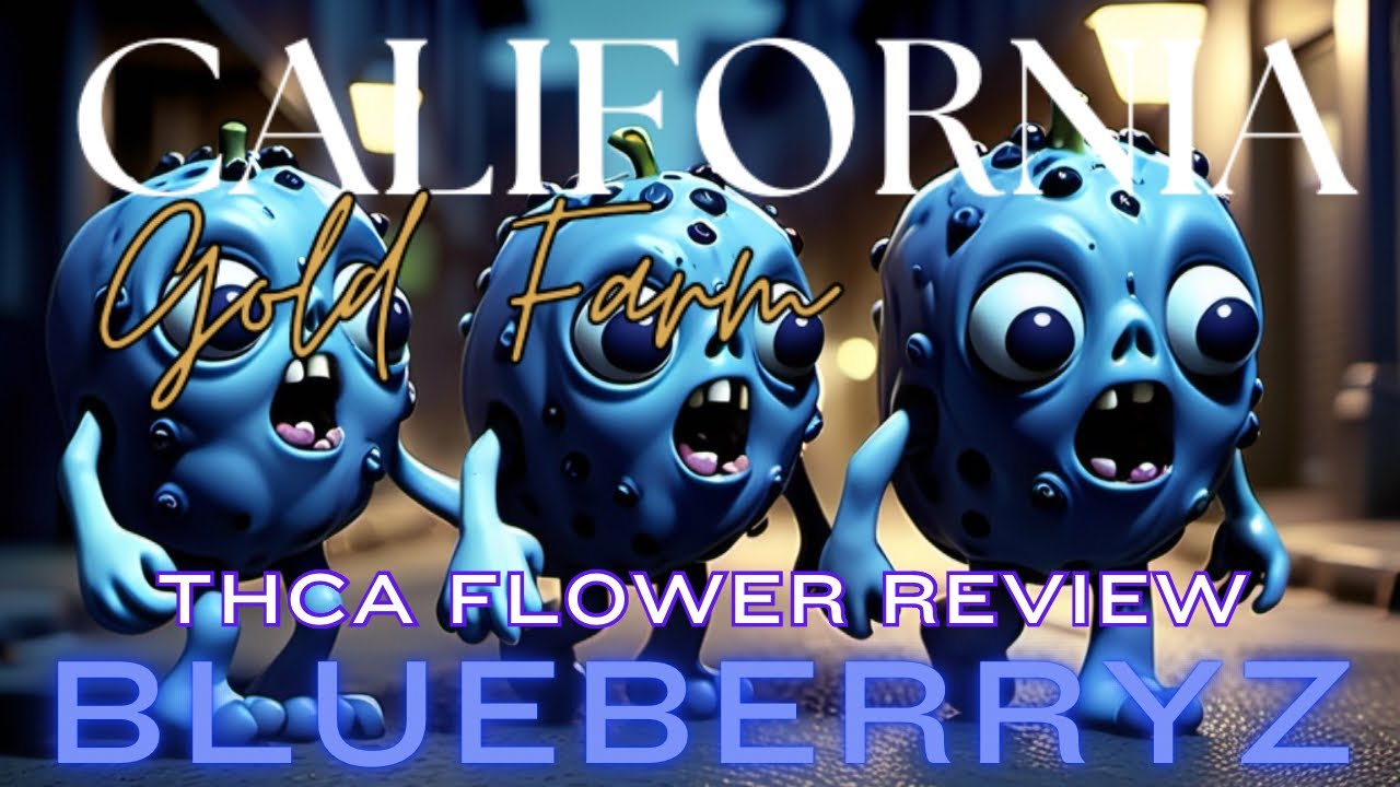Trying California Gold Farm BlueBerryZ THCA Flower Review