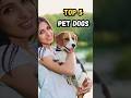 Top 5 Dog Breeds Most People Keep as Pets 🐶❤️ #shorts #youtubeshorts #facts