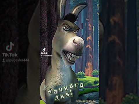 ЖИЗНЬ ЖЕНЩИНЫ- ПЛОШНЫЕ ЛА,ЛА,ЛА,ВСТАЛА,РАЗБУДИЛА, ПРОВОДИЛА,ПОГЛАДИЛА, ПРИГОТОВИЛА,УБРАЛА И Т.Д.