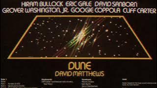 David Matthews - Space Oddity as Sampled by MF Doom (Loop)