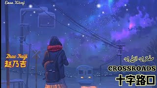 Seammy Zhao赵乃吉 | CROSSROADS-[مترجمة]- أغنية صينية حزينة مشهورة _ 十字路口