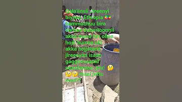 Yaa Rabbii Biyyaa Teenna Nagaya Godhi 