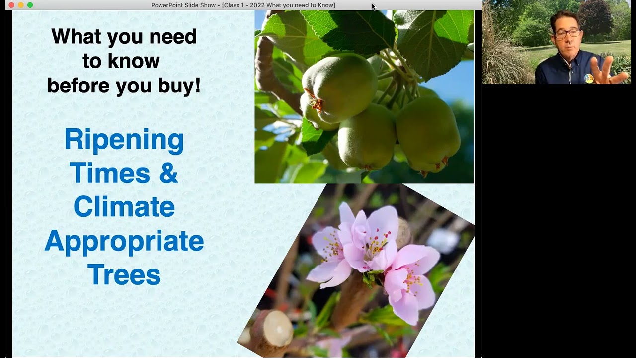 Urban Farm Fruit Tree Program Class 1 2022 - What you need to know before you purchase your trees!
