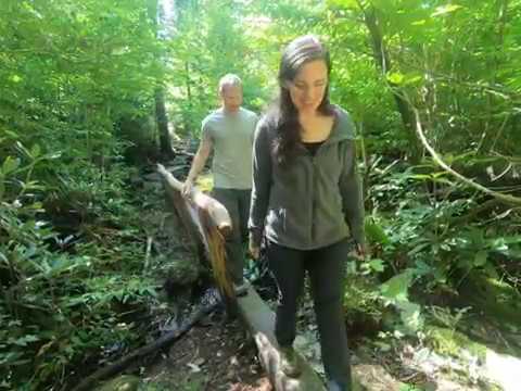 Henwallow Falls | Great Smoky Mountains National Park