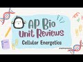 Ap biology review unit 3 cellular energetics