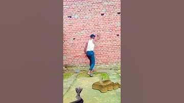 Anaconda snake  majic Life #viral #video #comedy #funny #shorts #youtubeshorts #tiktok #new #best