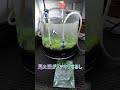 これいいかも　