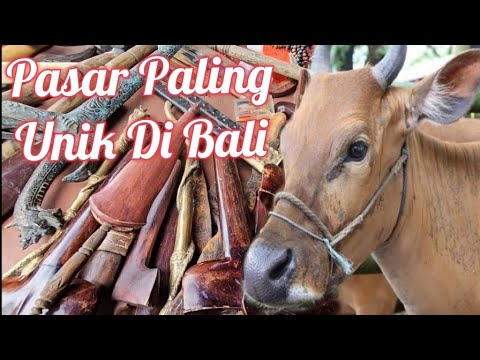 DARI DAGANG OBAT HINGGA DAGANG BURUNG, PASAR BERINGKIT, MENGWI, BALI #pasarberingkit #pasarrakyat