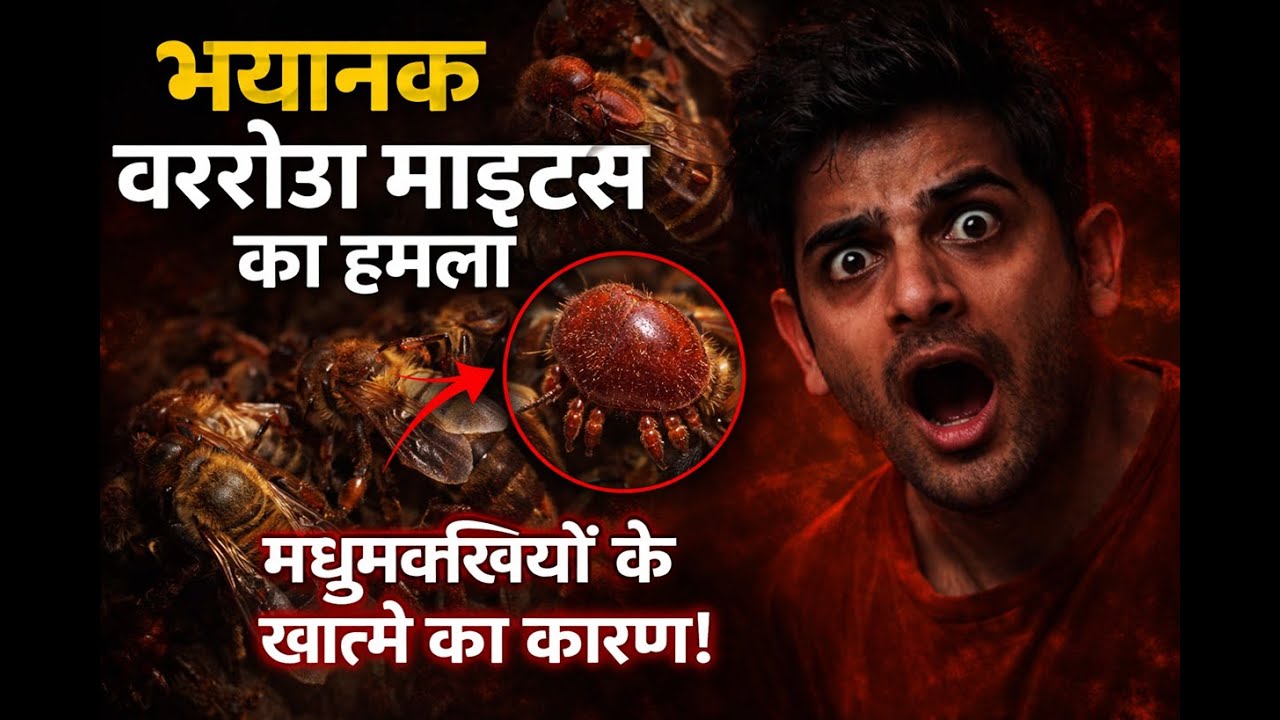 This Tiny Monster Is Killing Bees 😱🐝 | Varroa Mites Exposed