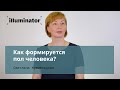 Как формируется пол человека?