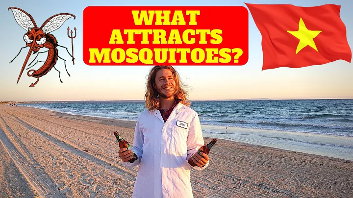 HOW TO AVOID MOSQUITO BITES