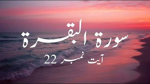 سوره - بقره آیه شماره 22 با ترجمه اردو | آیات قرآن.