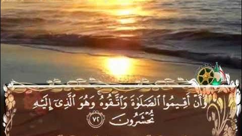 سورة الانعام بصوت الشيخ ماهر المعيقلي