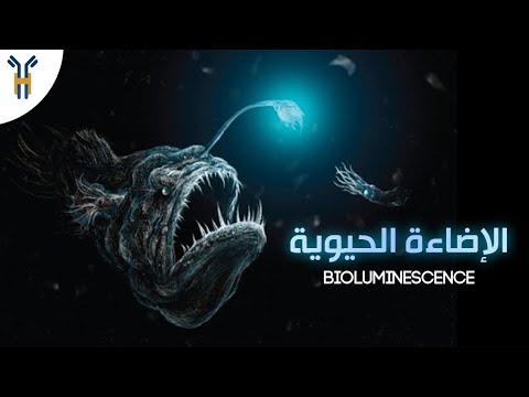 Bioluminescence & Fluorescence │الإضاءة الحيوية