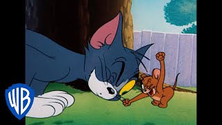 Tom und Jerry auf Deutsch | Klassischer Cartoon 117 | WB Kids