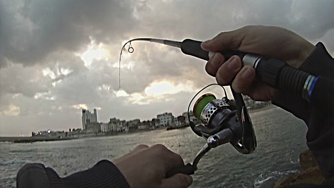 Group Aras on extrem fishing in israel catch big fish Spenish Makarel