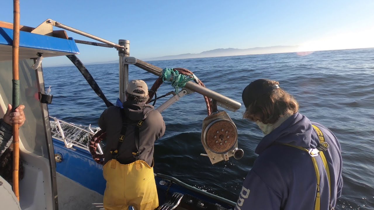 New Captain Pete, Dungeness Crab Fishing, Half Moon Bay, November 24