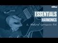 Essentials Lesson: Harmonics -- Example 2 -- Natural Harmonics Lick (TG222)