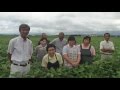 だだちゃ豆 生産地 安丹生産者レポート 20160719公開