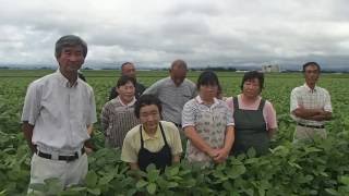 だだちゃ豆 生産地 安丹生産者レポート 20160719公開